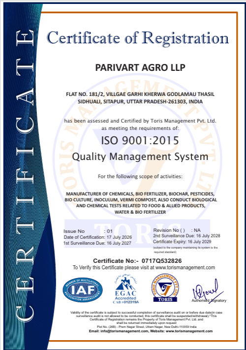 Certificate 1