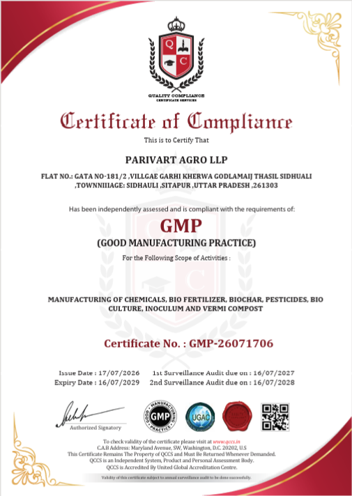 Certificate 6